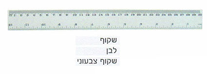 סרגל פלסטי 30 ס"מ